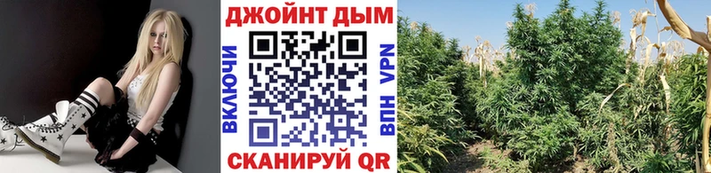 Купить где  Питкяранта  Марихуана ГИДРОПОН 
